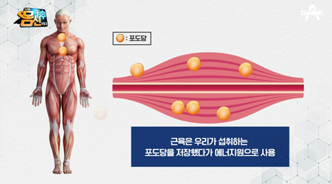 현장 사진