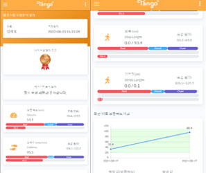 웹사이트 형식 결과 제공